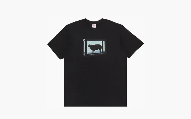 Одежда Supreme x Damien Hirst Tee «Black» chyernye