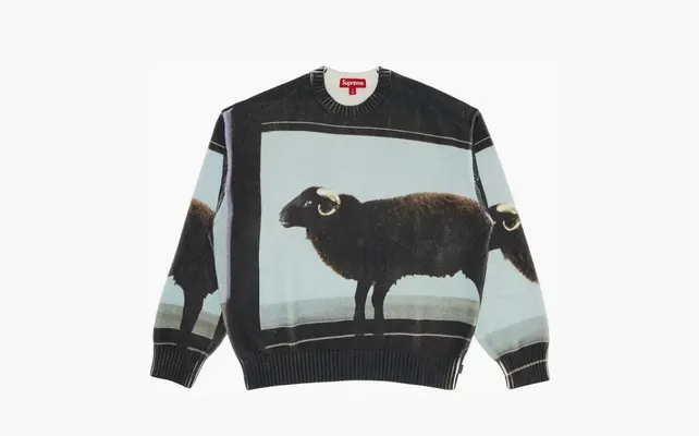 Одежда Supreme x Damien Hirst Sweater «Black» chyernye