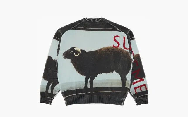 Одежда Supreme x Damien Hirst Sweater «Black» chyernye