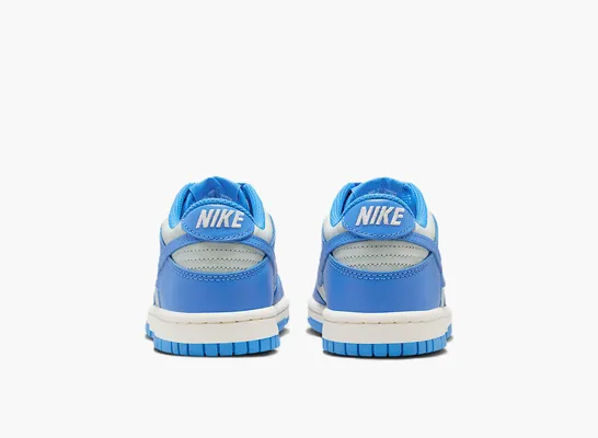Кроссовки Nike Dunk Low GS «Light Silver Sail Light Photo Blue» golubye