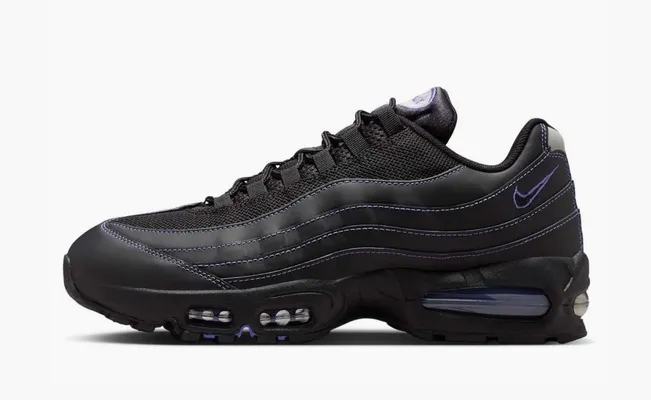 Кроссовки Nike Air Max 95 OG «Black Persian Violet» chyernye