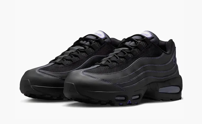 Кроссовки Nike Air Max 95 OG «Black Persian Violet» chyernye