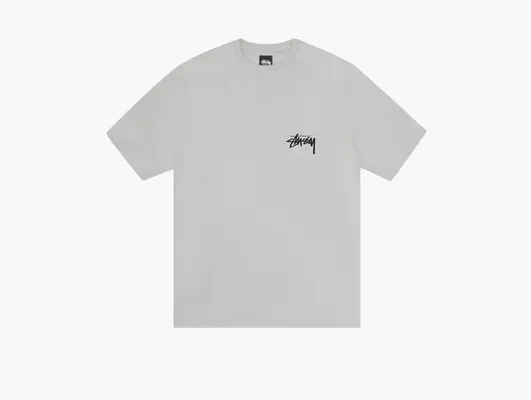 Одежда Stussy Toucan Tee «Fog» serye