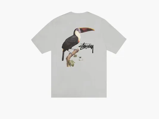 Одежда Stussy Toucan Tee «Fog» serye